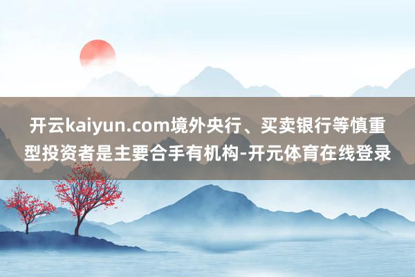 开云kaiyun.com境外央行、买卖银行等慎重型投资者是主